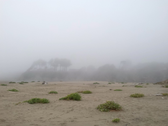 wp301 12 fog at 10 mile w mounds 20201005 1200