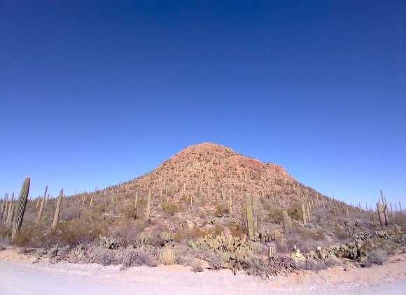 wp370 09 saguaro mountain 20220128 1200